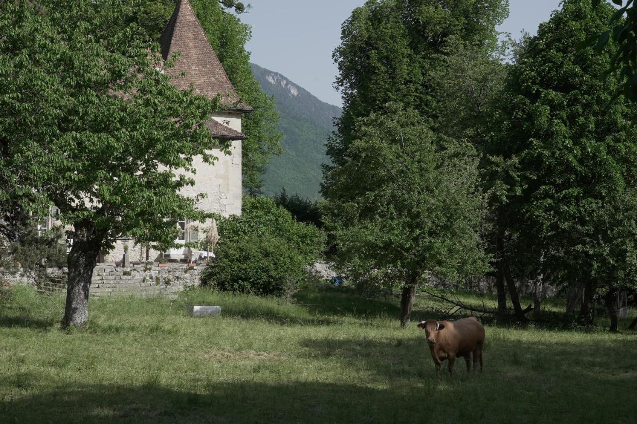 Domaine Du Tres-Haut - Chateau De Montanges エクステリア 写真