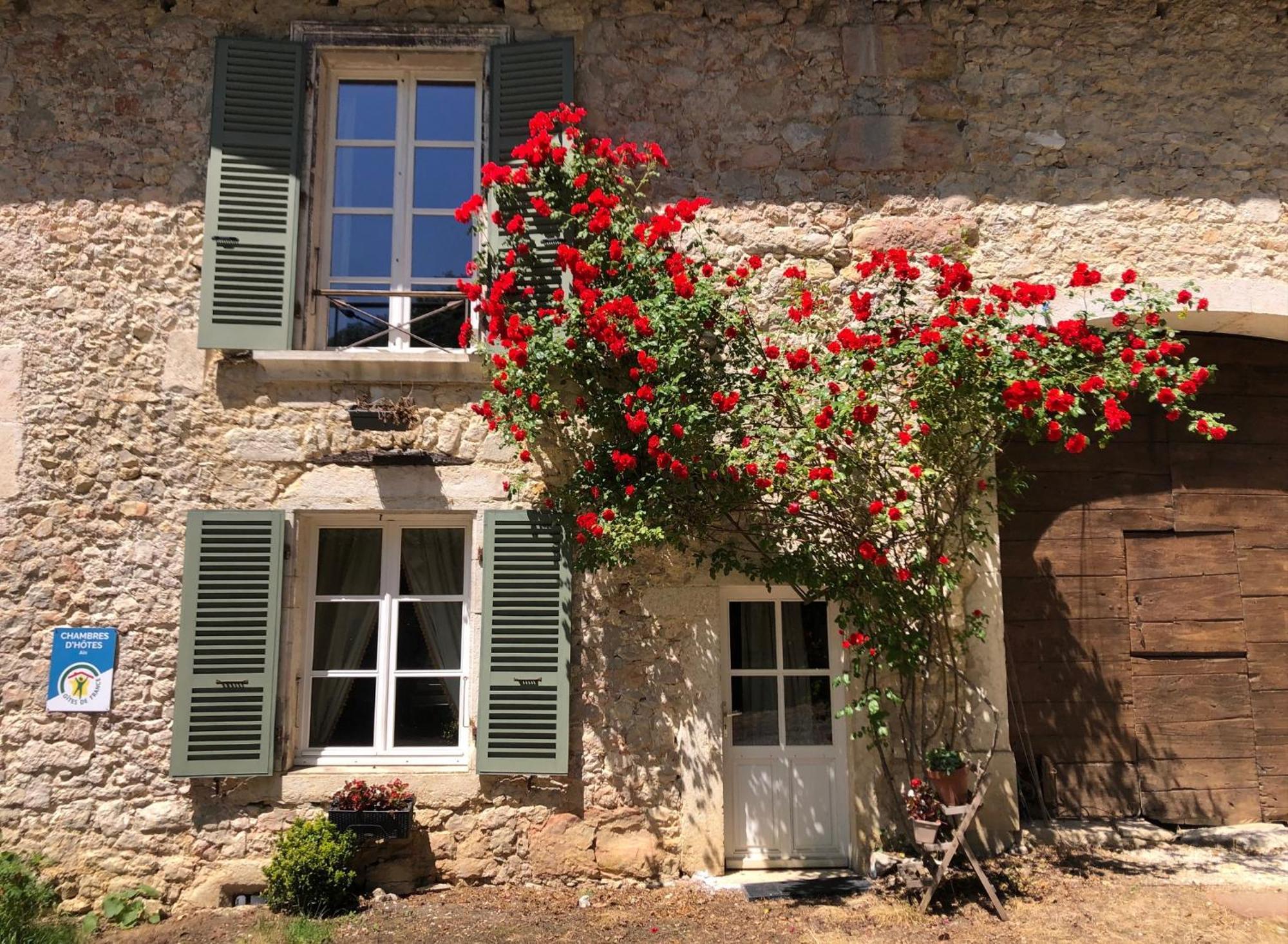 Domaine Du Tres-Haut - Chateau De Montanges エクステリア 写真