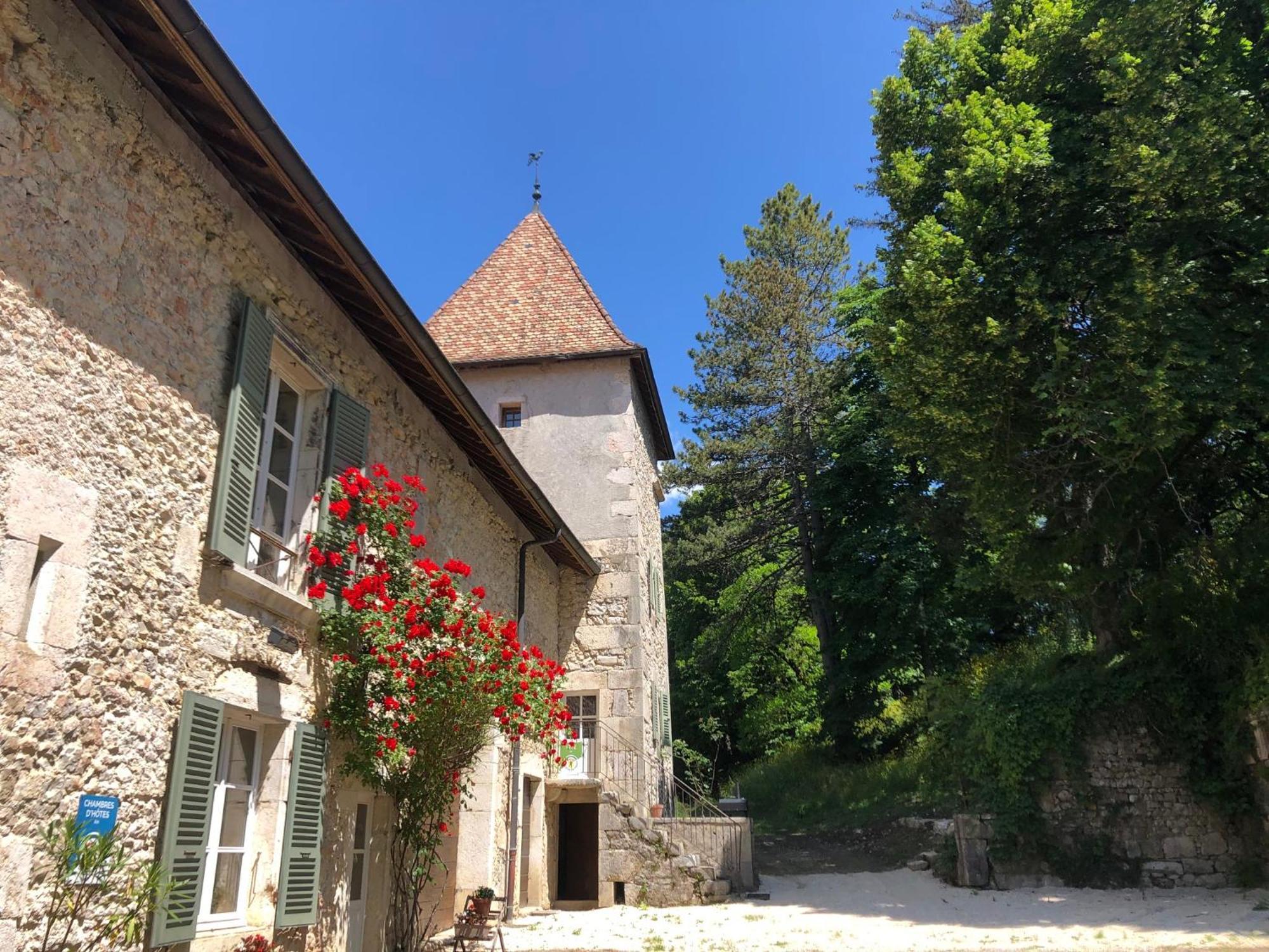 Domaine Du Tres-Haut - Chateau De Montanges エクステリア 写真