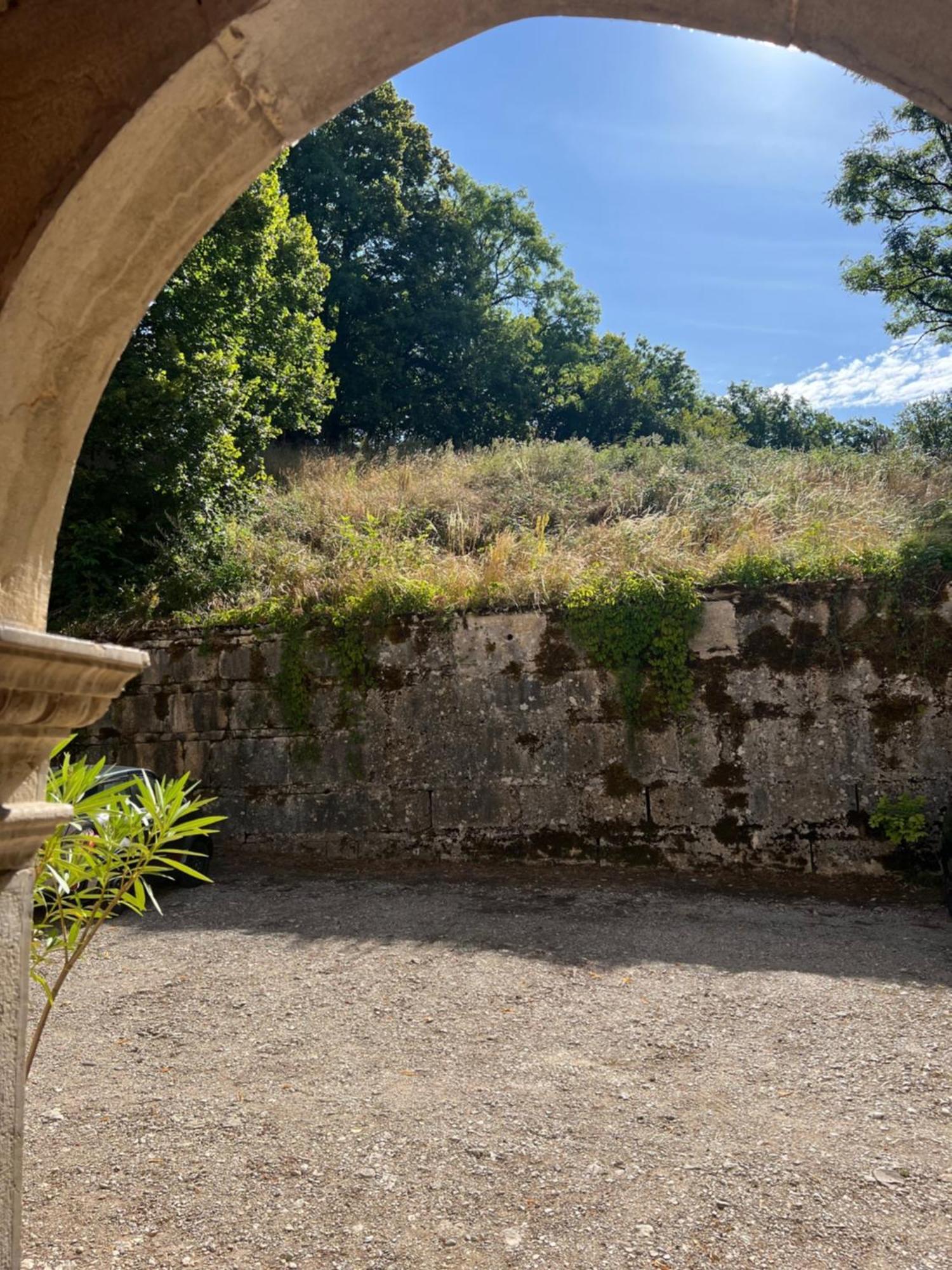 Domaine Du Tres-Haut - Chateau De Montanges エクステリア 写真