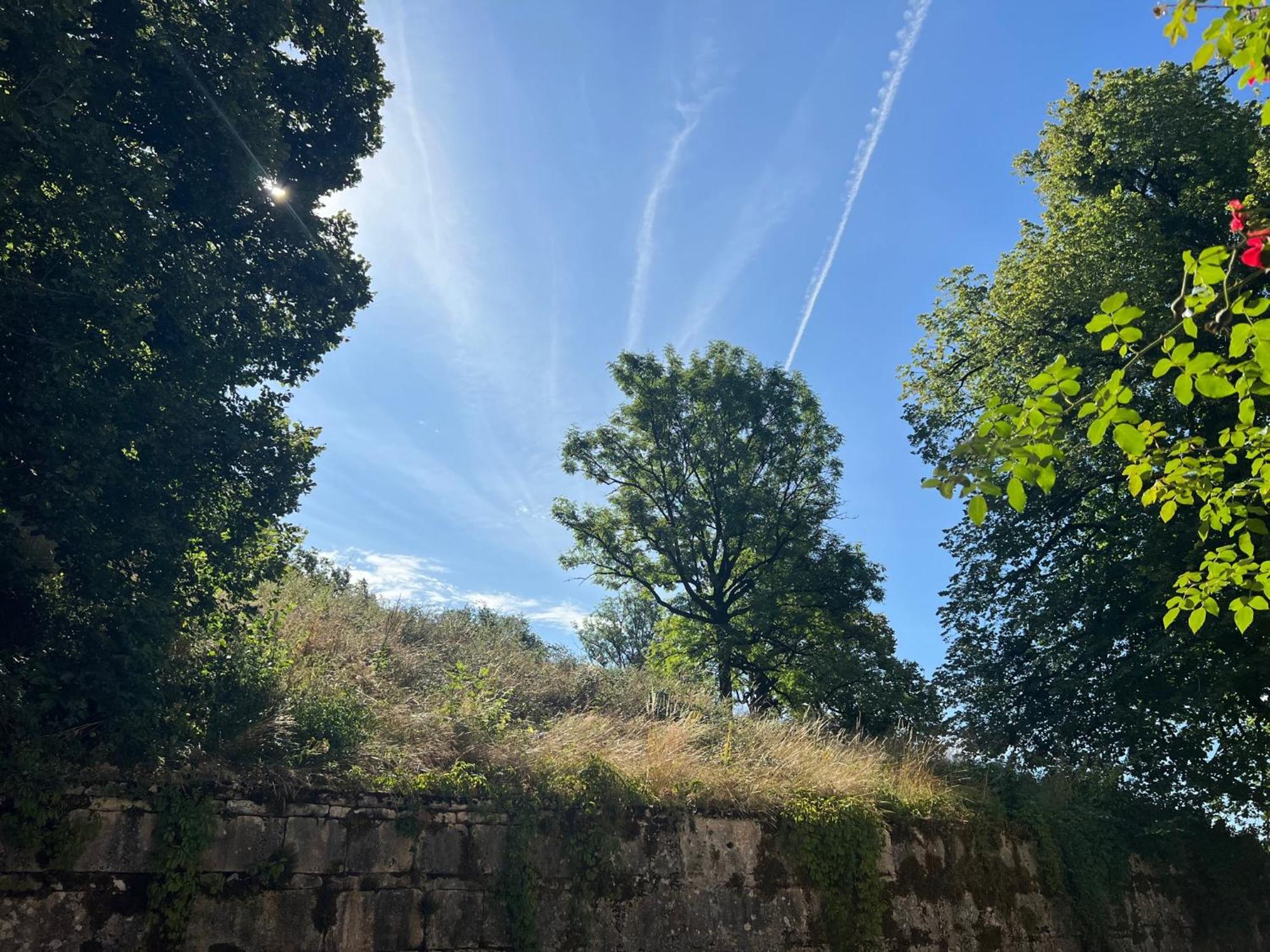 Domaine Du Tres-Haut - Chateau De Montanges エクステリア 写真